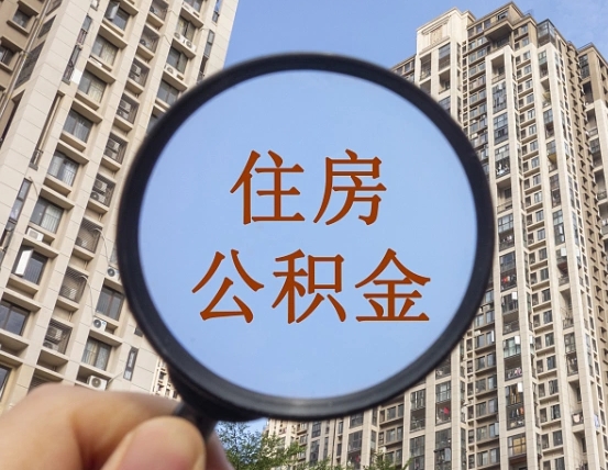 德州退休后查不到公积金明细了吗（退休后公积金查询不到原因）